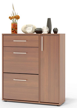 Шкаф для обуви ТП-4