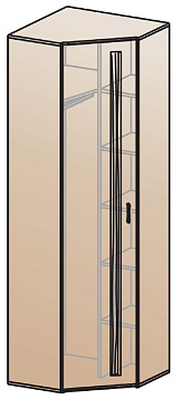 Шкаф для одежды угловой ШК-815    