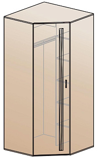 Шкаф для одежды угловой ШК-810