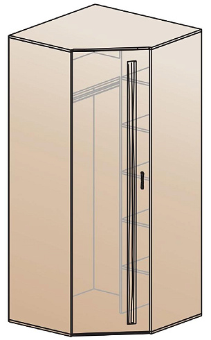 Шкаф для одежды угловой   ШК-810