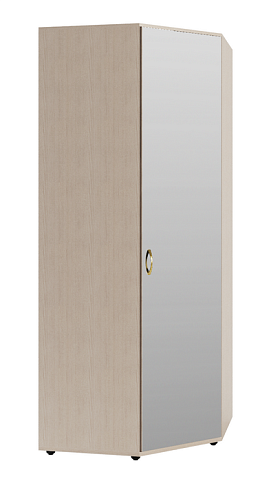 Шкаф угловой   23