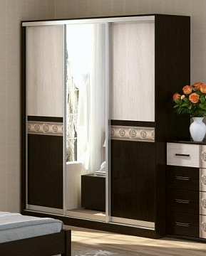 Шкаф-купе Алтай №15