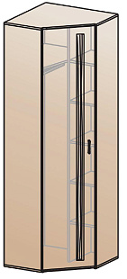 Шкаф для одежды угловой ШК-815    