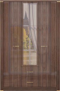 Шкаф для одежды 1