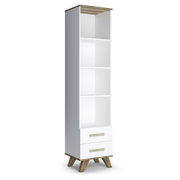 Шкаф-стеллаж 450 