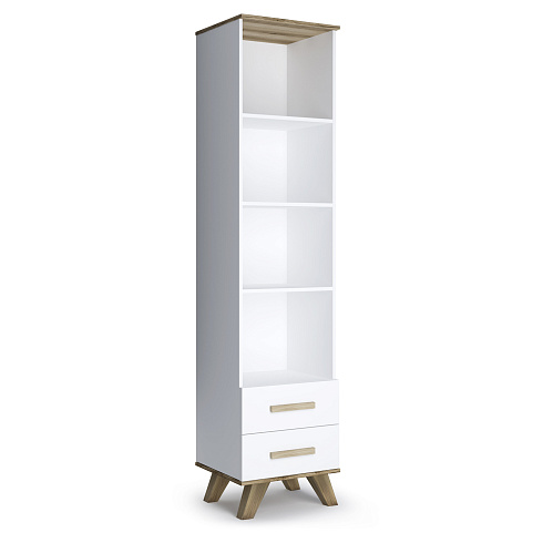 Шкаф-стеллаж 450   