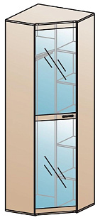 Шкаф для одежды угловой ШК-816  