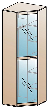 Шкаф для одежды угловой ШК-816  