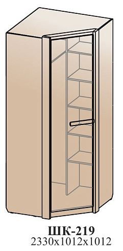 Угловой шкаф   ШК-219