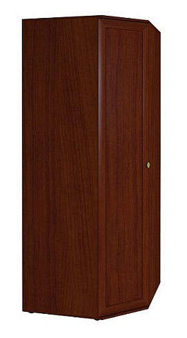 Шкаф угловой   1