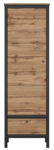 Шкаф  Loft REG1D1S