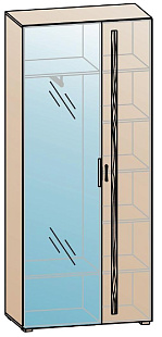 Шкаф для одежды ШК-838