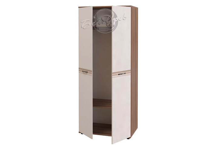 Шкаф   2Д (штанга)