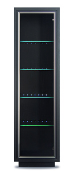 Шкаф с подсветкой REG1W