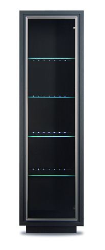 Шкаф с подсветкой   REG1W