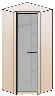 Шкаф для одежды угловой ШК-1221