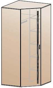 Шкаф для одежды угловой ШК-836