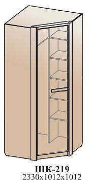 Угловой шкаф ШК-219