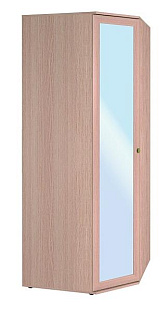 Шкаф угловой 2