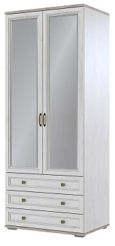 Шкаф для одежды (ШК-209) 00-00101984