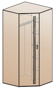 Шкаф для одежды угловой ШК-810