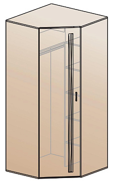 Шкаф для одежды угловой ШК-810
