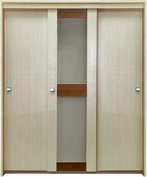 Шкаф-купе П181.07