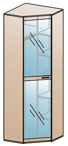 Шкаф для одежды угловой   ШК-816  