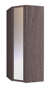 Шкаф угловой 63-2