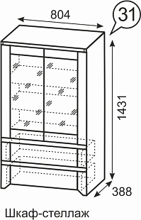 Шкаф-стеллаж 31
