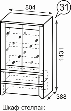 Шкаф-стеллаж 31