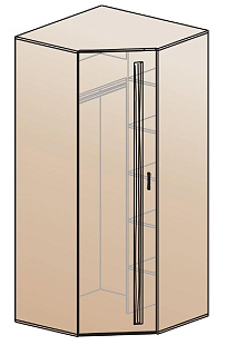 Шкаф для одежды угловой ШК-810