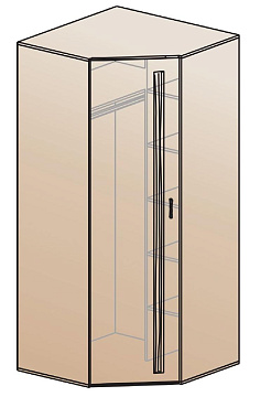 Шкаф для одежды угловой ШК-810