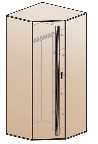 Шкаф для одежды угловой   ШК-810