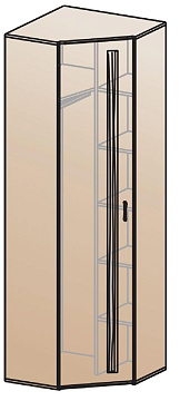 Шкаф для одежды угловой ШК-815    