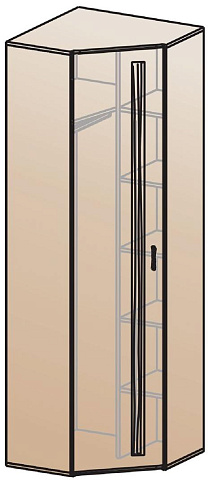 Шкаф для одежды угловой   ШК-815    