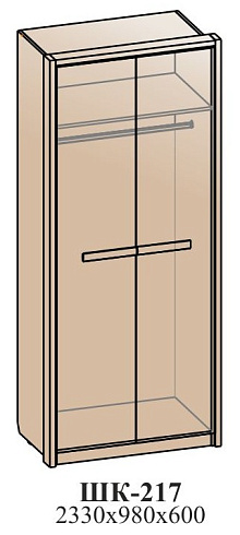 Шкаф для одежды   ШК-217