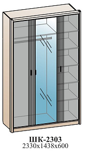 Шкаф для одежды ШК-2303