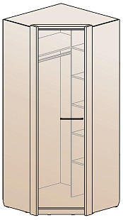 Шкаф для одежды угловой ШК-1219