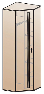 Шкаф для одежды угловой ШК-815    