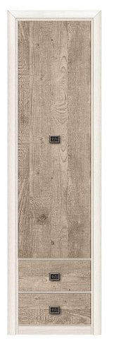 Шкаф  Коен Сосна REG1D2S