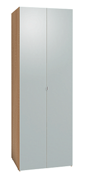Шкаф для одежды 8-2