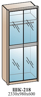 Шкаф для одежды ШК-218