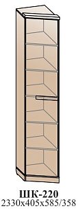 Угловой шкаф ШК-220