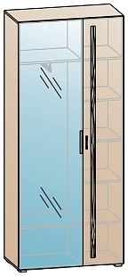 Шкаф для одежды ШК-838