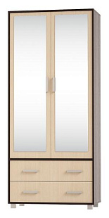 Шкаф 2ств 2Д-З