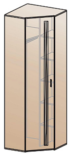 Шкаф для одежды угловой ШК-815    