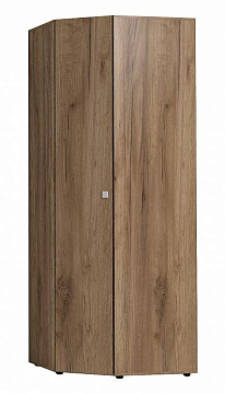 Шкаф угловой 156