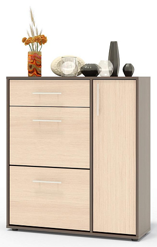 Шкаф для обуви   ТП-4