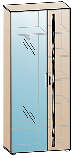 Шкаф для одежды ШК-838